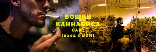 стаф Костерёво