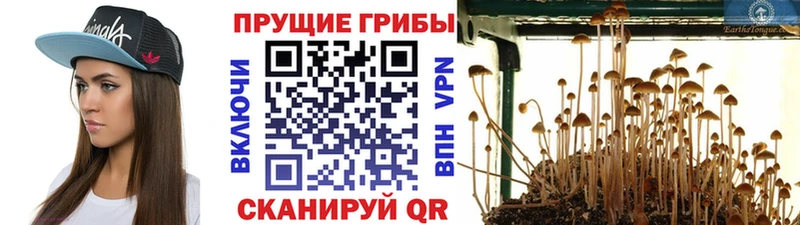 Галлюциногенные грибы мухоморы Купить Щёлкино